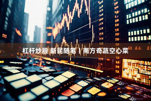 杠杆炒股 新民随笔丨南方奇蔬空心菜