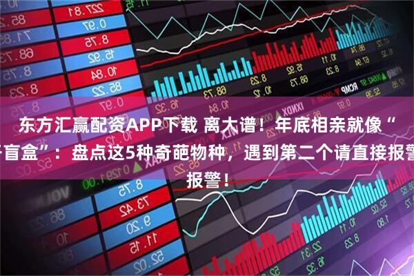 东方汇赢配资APP下载 离大谱！年底相亲就像“开盲盒”：盘点这5种奇葩物种，遇到第二个请直接报警！